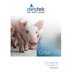 Grisekatalog