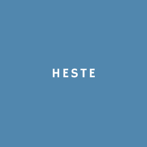 Heste