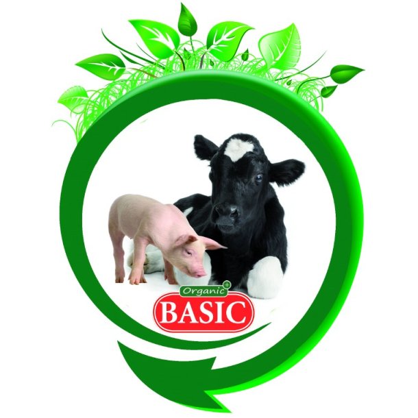 Basic Organic Plus