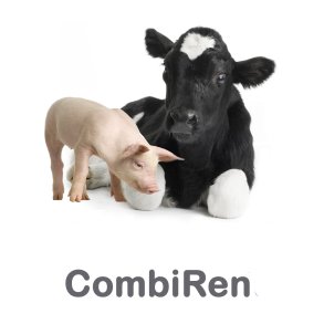 CombiRen